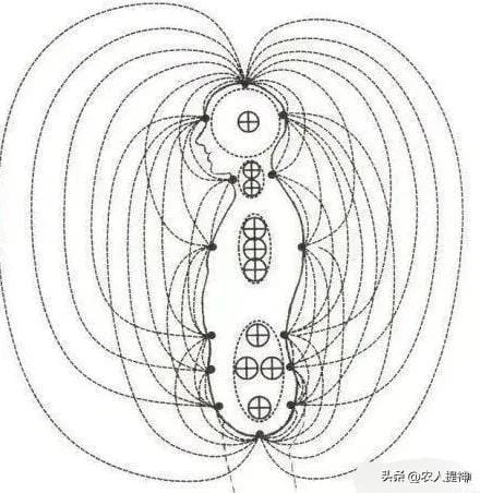 睡觉什么方向最好（详解正确睡觉朝向）-第2张图片