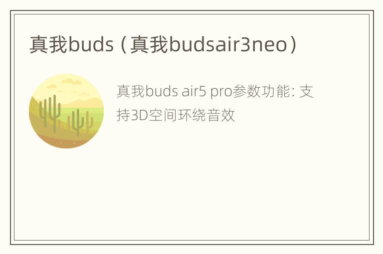 真我buds（真我budsair3neo）