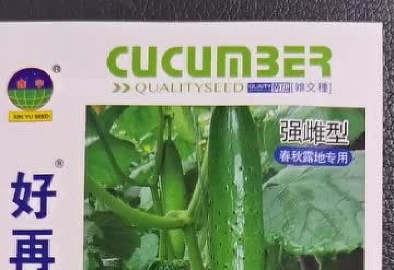 黄瓜品种有哪些