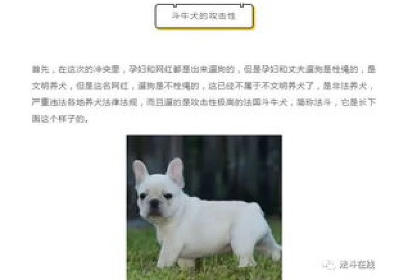 法斗算不算烈性犬