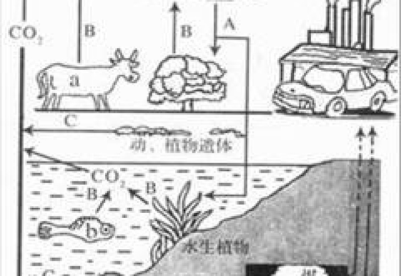 引起酸雨的主要气体是什么？怎样控制酸雨