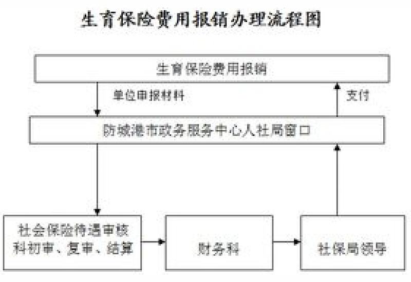 承德生育保险网上报销办理流程