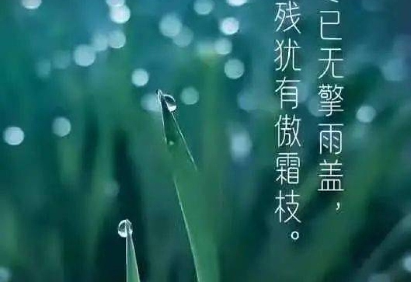 2023年寒露节气是几月几日