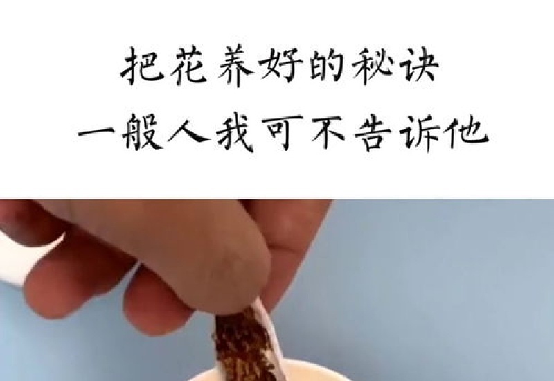 今天告诉你，她把1盆变100盆的诀窍，竟这么简单！