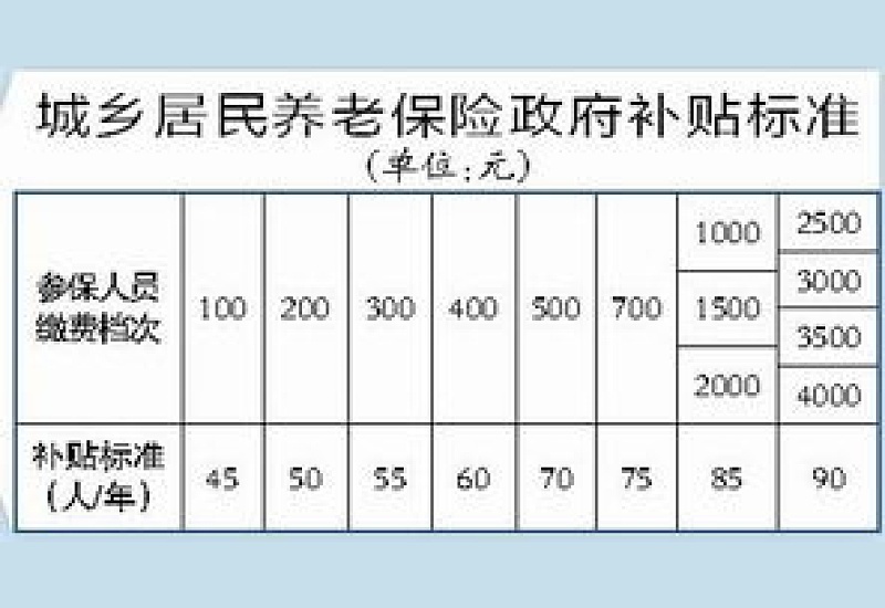 达州养老保险政府补贴标准是什么？