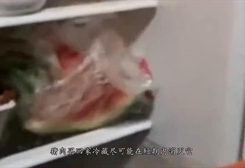 猪肉能在冰箱冷冻多久