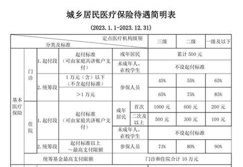 2023年莆田医保报销待遇是什么