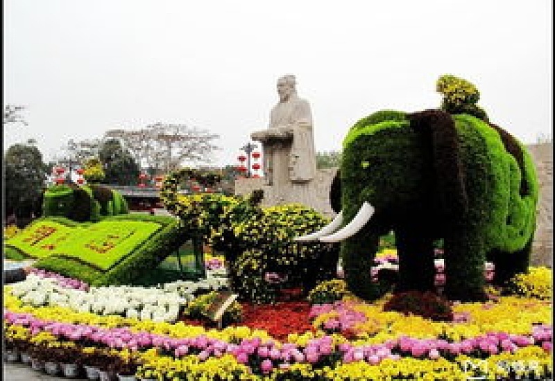 开封菊展什么时间开始