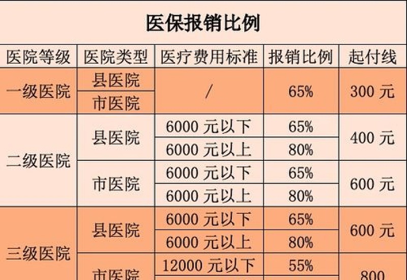 湖北农村医疗保险报销比例是多少