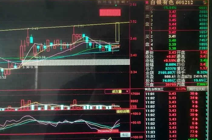 鲨鱼为什么不吃海豚 居然是因为这样