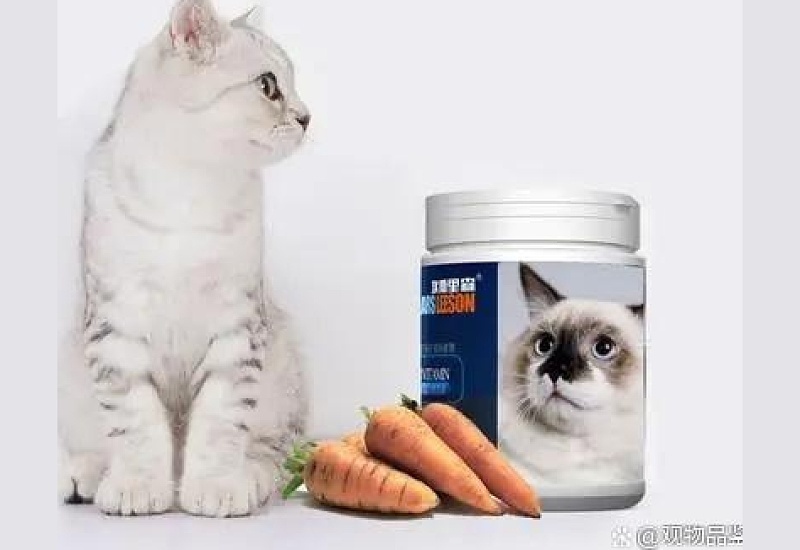 人吃的维生素b猫能吃吗?