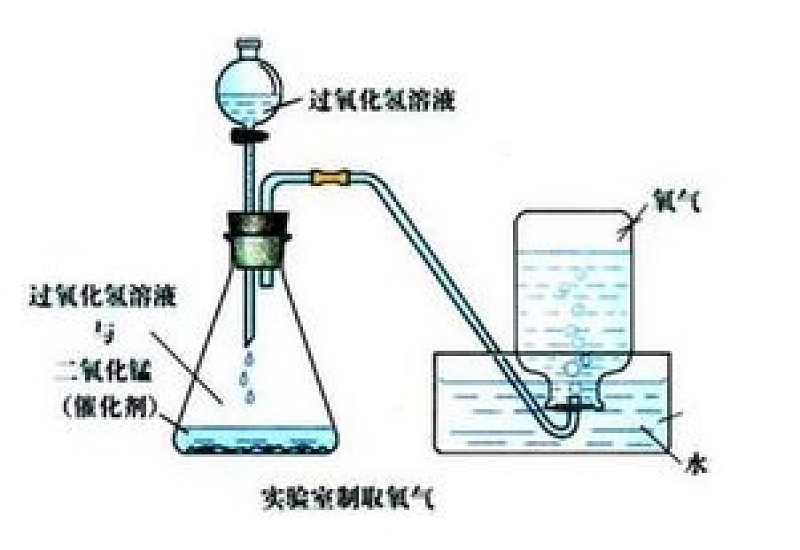 兰寿鱼对氧气要求，对水温的要求