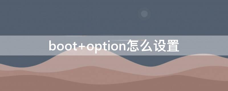 boot option怎么设置