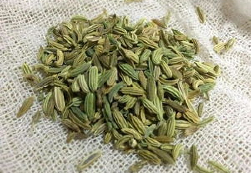 小茴香有什么营养价值 小茴香有哪些食用禁忌