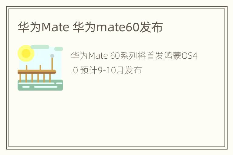 华为Mate 华为mate60发布