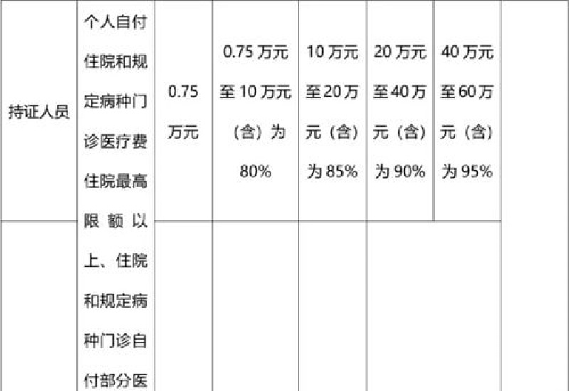 邵阳居民医保大病保险支付范围