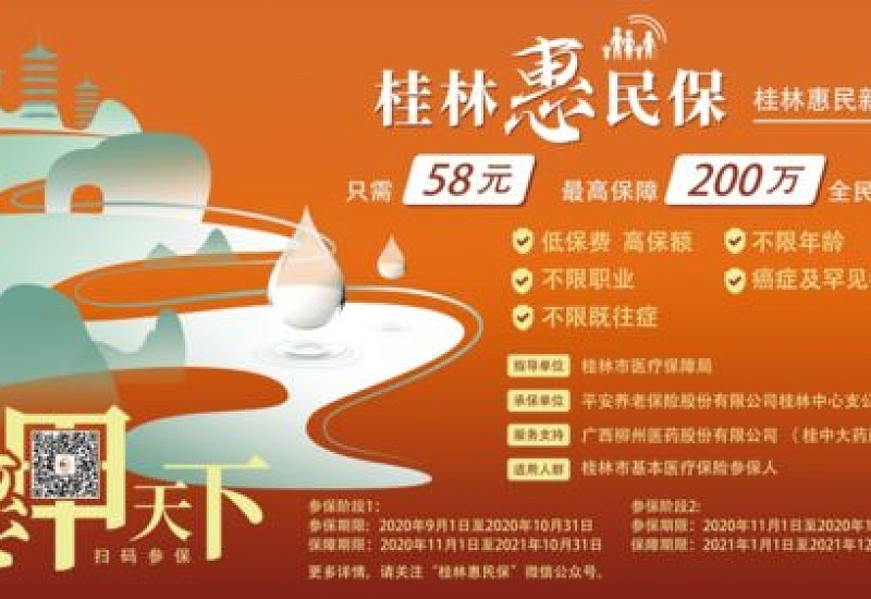 2024年度桂林惠民保是什么