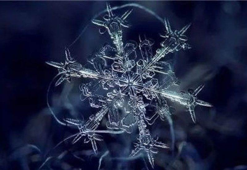 雪花都有哪些形状 雪花的各种形状介绍