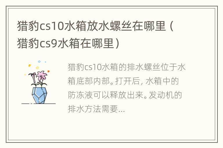 猎豹cs10水箱放水螺丝在哪里（猎豹cs9水箱在哪里）