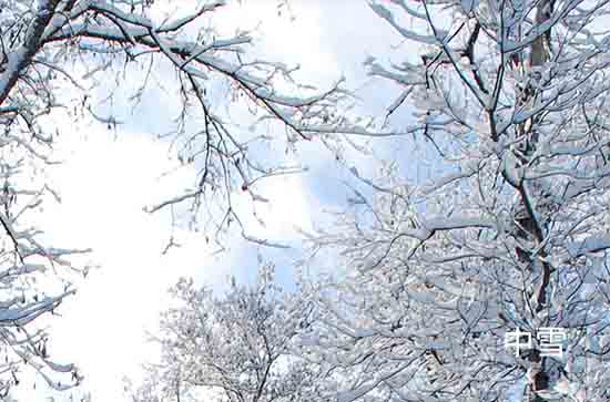 河南12月13日再迎大范围雨雪局地大暴雪 安阳未来三天天气预报