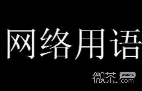 中正热舞梗是什么意思详情