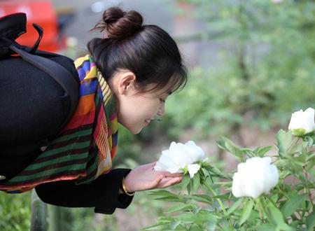 属鼠遇龙年2024运势怎么样女孩 是什么