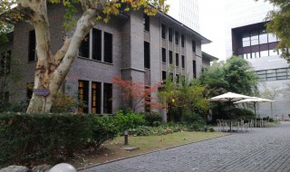 同济大学怎么样（金哲岩 同济大学怎么样）