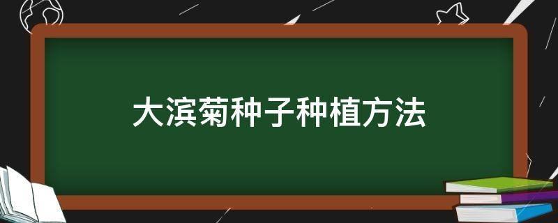 大滨菊种子种植 ***  大滨菊怎样分株繁殖