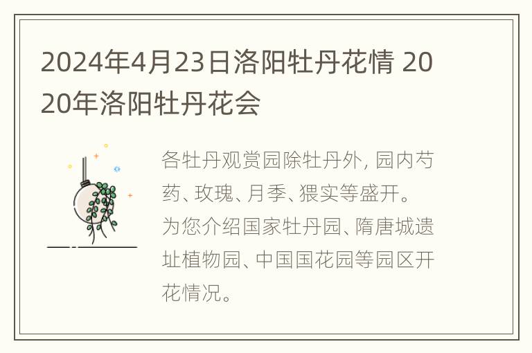 2024年4月23日洛阳牡丹花情 2020年洛阳牡丹花会