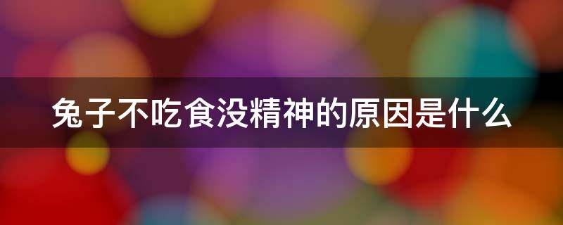 兔子不吃食没精神的原因是什么 兔子突然没精神不吃不喝趴着